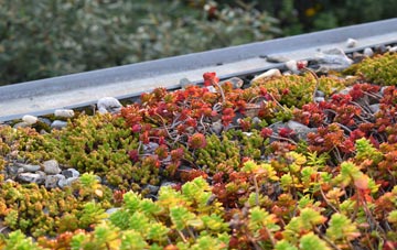 the cost of Seawick green roof installation